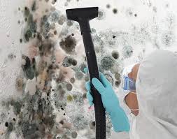 Why You Should Choose Our Mold Remediation Services in Chocowinity, NC